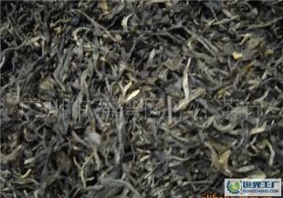 五年陈韵 探寻普洱大叶生茶的独特魅力与品鉴之道