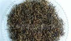 厂家直销银奥墩门工夫特一有机茶，各类规格包装批发供应